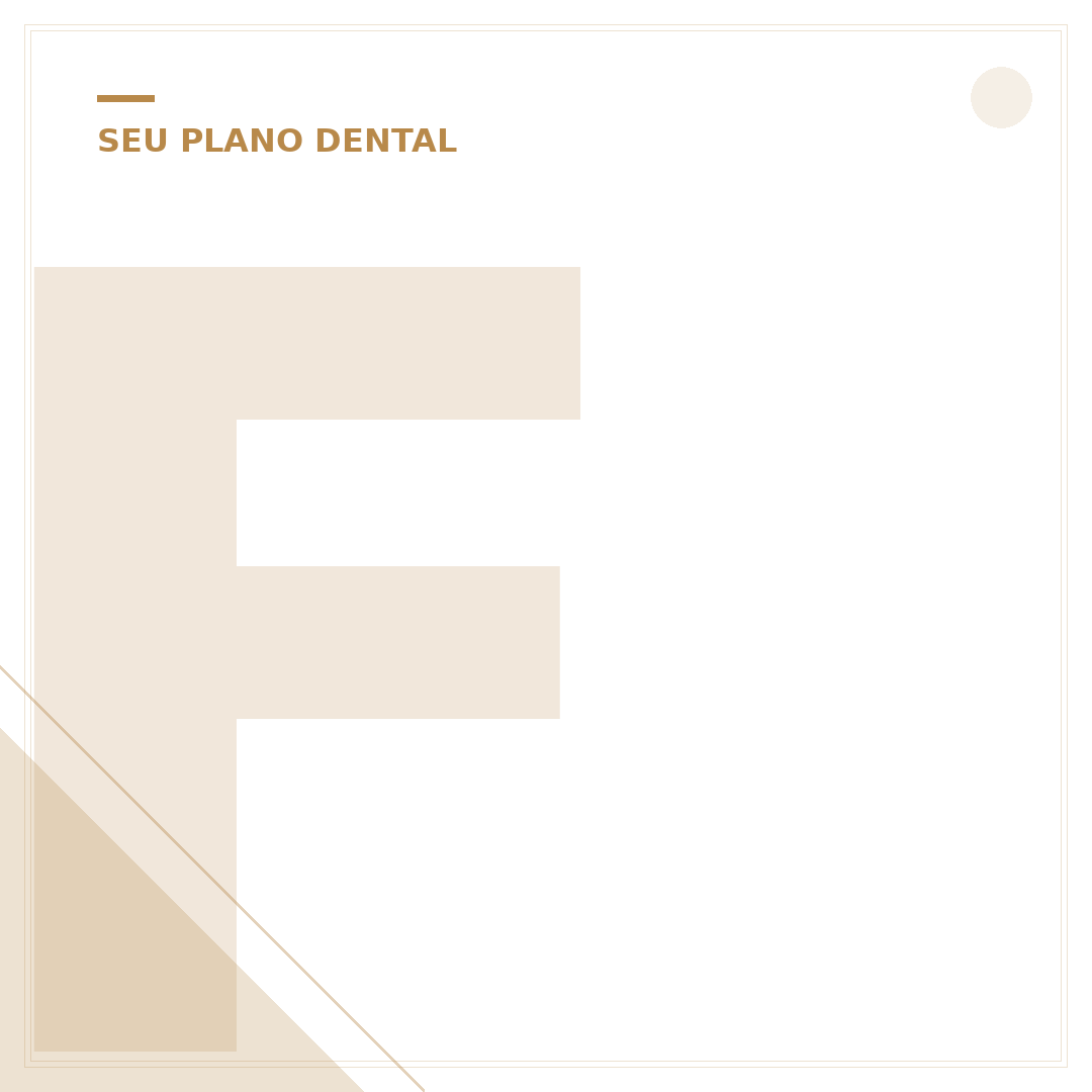 Facetas Dentárias Cerâmica Preço: Guia Completo